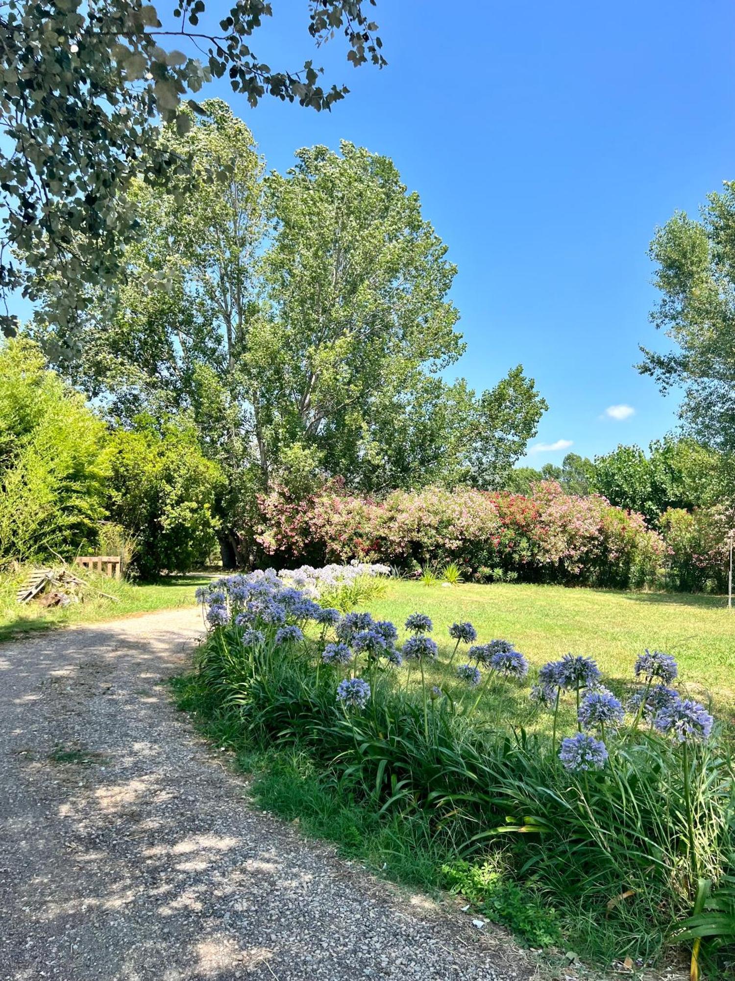 Domaine Du Lac De La Vallee La Roquette-sur-Siagne Bagian luar foto